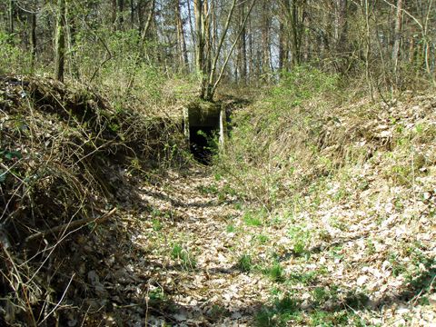 Foto 33